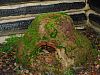DSC05788.jpg